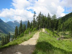 l&ouml;tschental
