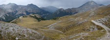 wilderness