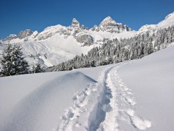 profile of the hike