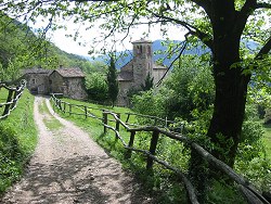 Torello