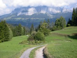 track towards cliff