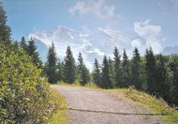 path from Wengen