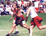 England v Wales