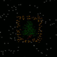 Positions of the robots just before the critical moment