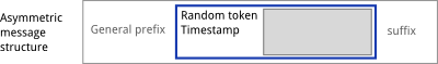 structure of asymmetric message