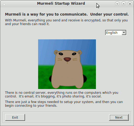 startup wizard