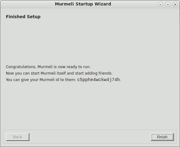 startup wizard