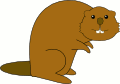 Beaver